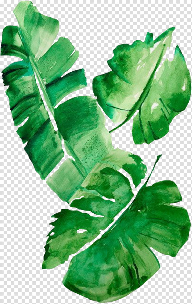 Banana Leaf, Watercolor Painting, Greens, Pillow, Throw Pillows, Cushion, Printmaking, Palmleaf Manuscript transparent background PNG clipart
