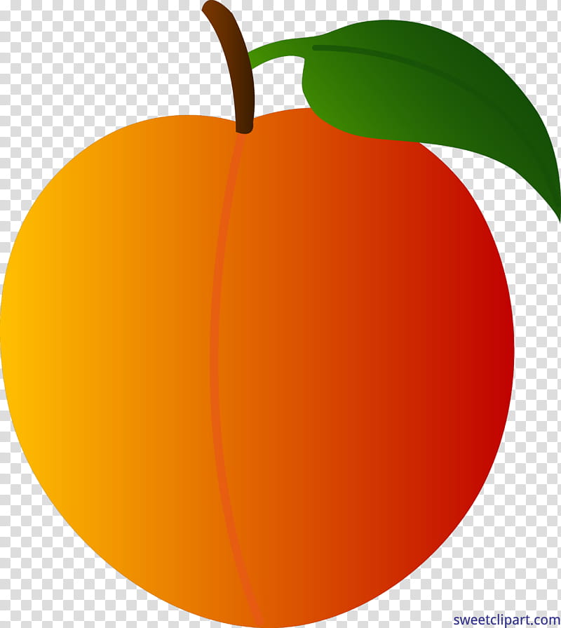 Apple Drawing, Peach, Document, Fruit, Cartoon, Food, Orange, Plant transparent background PNG clipart