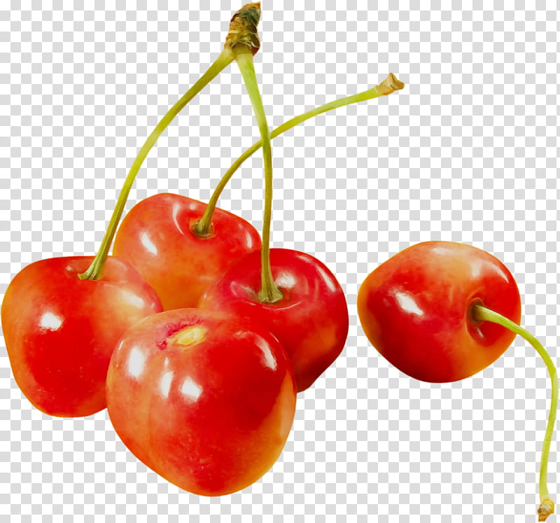 Fruit, Barbados Cherry, Food, Wild Crapemyrtle, Berries, Cherries, Natural Foods, Accessory Fruit transparent background PNG clipart
