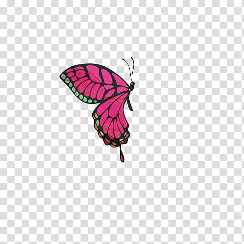 Shoujo, pink, black, and green butterfly illustration transparent background PNG clipart
