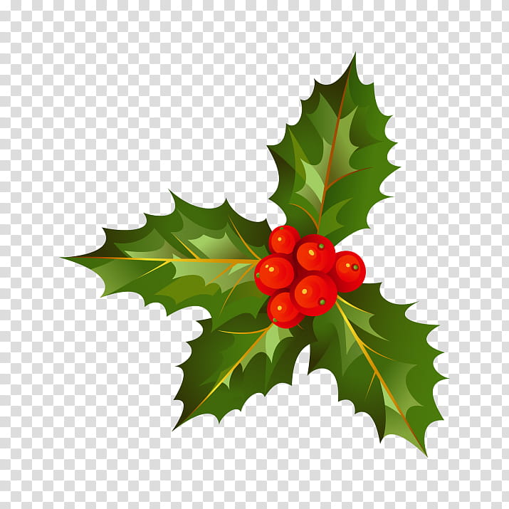 Christmas Decoration, Holly, Christmas Day, Christmas Tree, Aquifoliales, Branch, Leaf, Plant transparent background PNG clipart