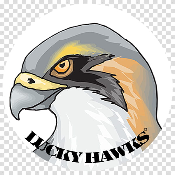 Lucky Hawks Logo transparent background PNG clipart