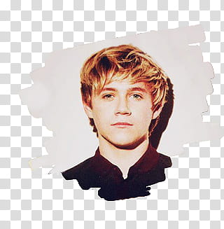 Niall Horan transparent background PNG clipart