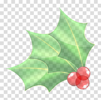 Christmas Hollies , green and red petaled flower -panel transparent background PNG clipart