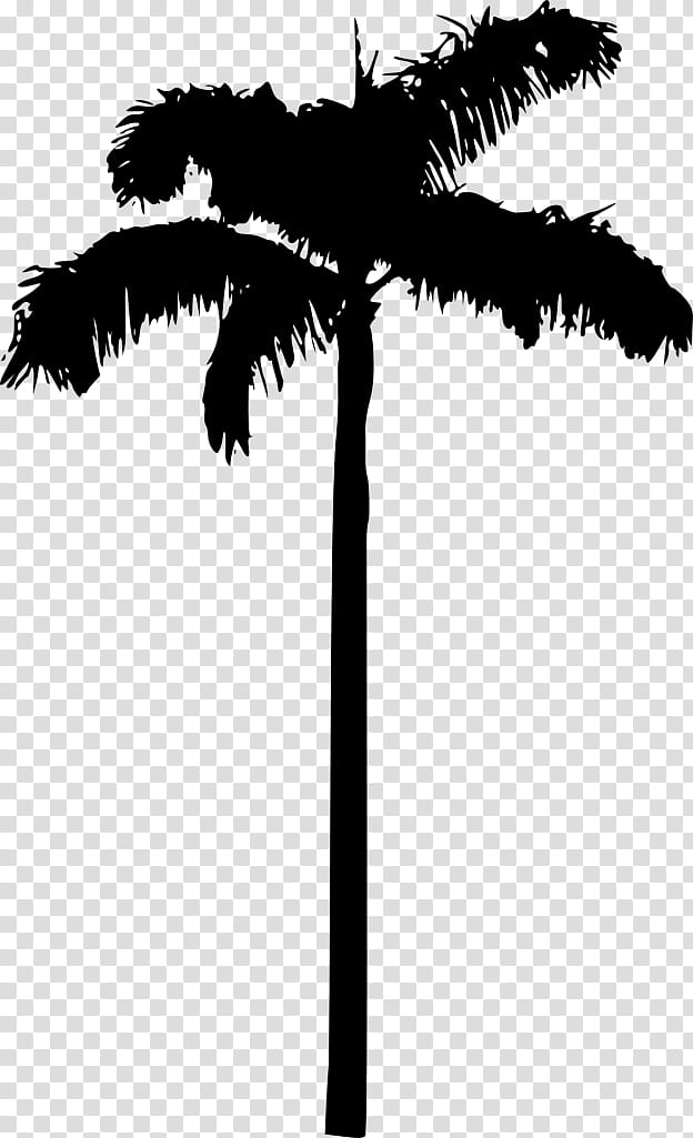 Palm Tree Drawing, Palm Trees, Silhouette, Palm Branch, Arecales, Plant, Woody Plant, Blackandwhite transparent background PNG clipart