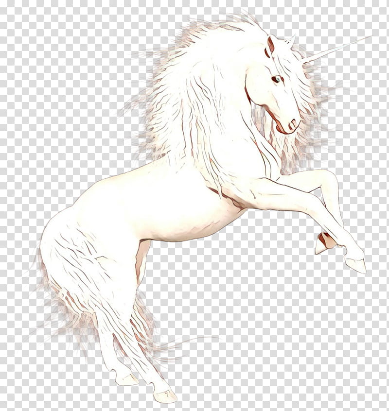 Lion Drawing, Cat, Nose, Mane, Horse, Stallion, Unicorn, Mare transparent background PNG clipart