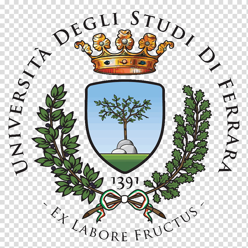 Summer Flower, University Of Ferrara, University Of Camerino, University Of Turin, Masters Degree, Physics, Professor, Doctorate transparent background PNG clipart
