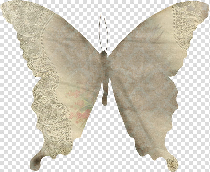 Butterfly, Silkworm, Russia, Moth, Lepidoptera, Author, November 3, Utility transparent background PNG clipart