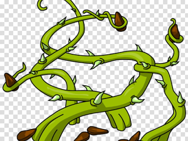 Green Grass, Thorns Spines And Prickles, Seed, Honey Locust, Crown Of Thorns, Drawing, Branch, Plants transparent background PNG clipart