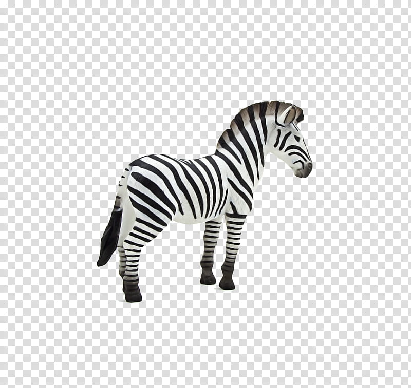 Zebra, Animal, Plains Zebra, Toy, Foal, Horse, Mare, Cheetah transparent background PNG clipart