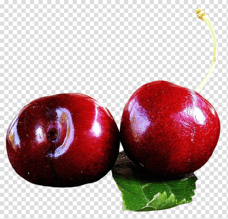 Cherry Tree, Juice, Cherries, Computer Graphics, Raster Graphics, 3D Computer Graphics, Fruit, Plant transparent background PNG clipart