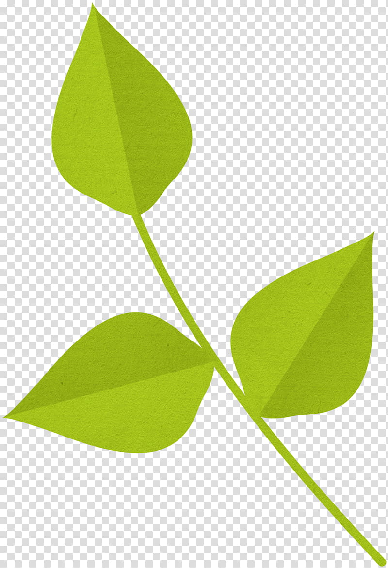Summer Lovin JanClark, green leaves transparent background PNG clipart