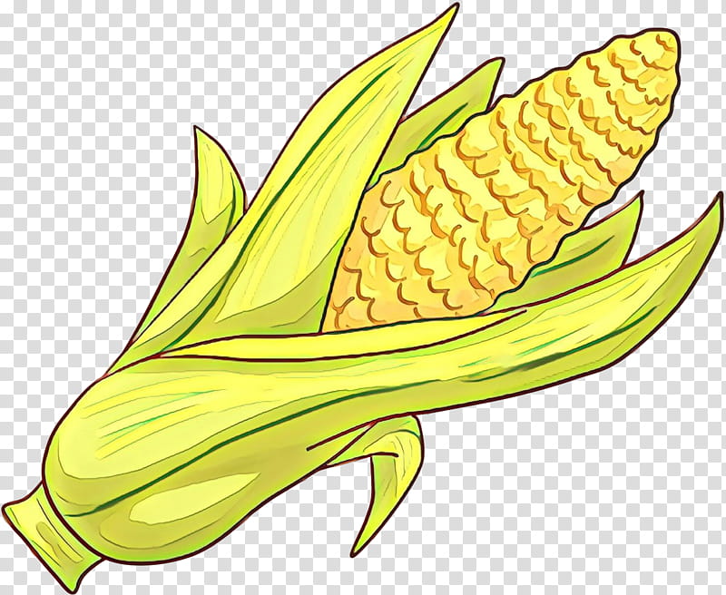 corn on the cob plant corn leaf, Cartoon, Flower, Sweet Corn, Anthurium, Vegetarian Food transparent background PNG clipart