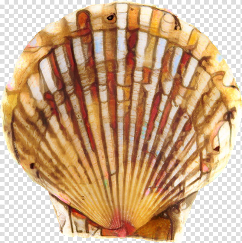 Cockle Scallop, Conchology, Seashell, Scallops, Fan, Decorative Fan, Bivalve, Hand Fan transparent background PNG clipart