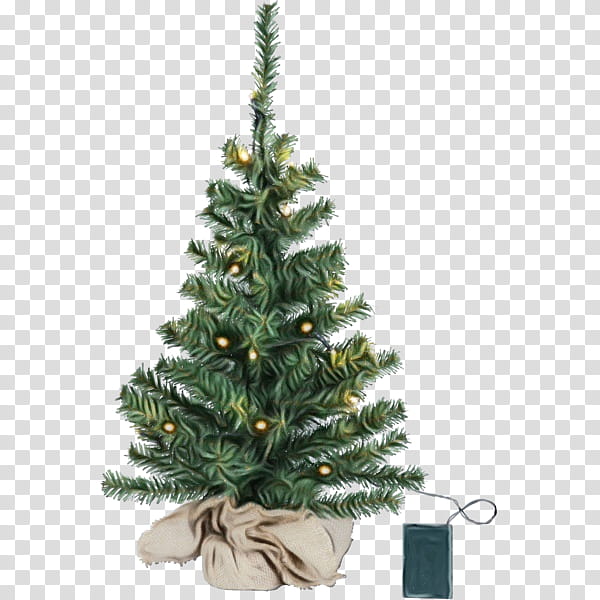 Christmas tree, Watercolor, Paint, Wet Ink, Balsam Fir, Colorado Spruce, Yellow Fir, Oregon Pine transparent background PNG clipart