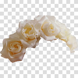 Flower Crowns, white roses headdress transparent background PNG clipart