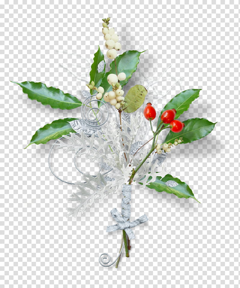 Christmas And New Year, Christmas Day, Holiday, Flower, Ded Moroz, Cut Flowers, Floral Design, Poinsettia transparent background PNG clipart