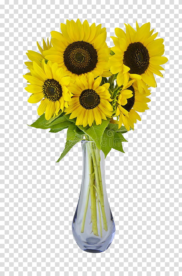 Bouquet Of Flowers Drawing, Vase, Vase Bouquet, Common Sunflower, Vase Ard Time, Flower Bouquet, Oriental Vase, Rose transparent background PNG clipart