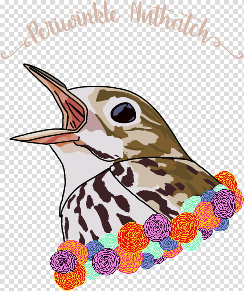 Hummingbird, Wildlife, Beak, Piciformes, Perching Bird, Cuckoo transparent background PNG clipart