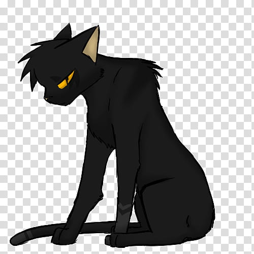 WLL Collab Breezepelt, black cat with yellow eyes character illustration transparent background PNG clipart