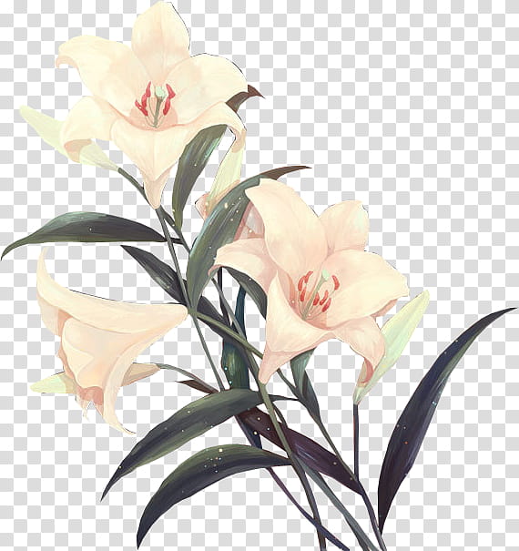 Flowers in your hair, pink lilies art transparent background PNG clipart