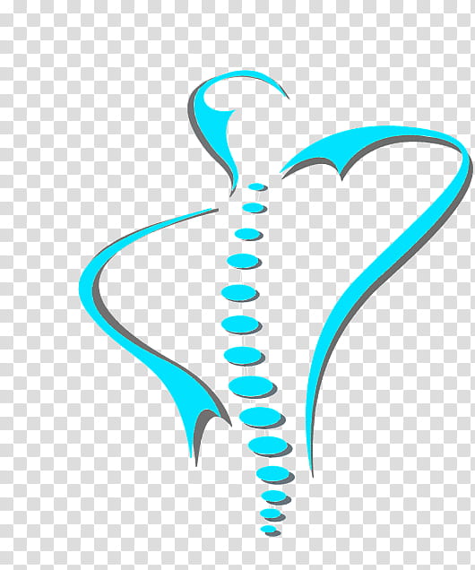 Vertebral Column Aqua, Spineability Chiropractic, Spinal Adjustment, Vertebral Subluxation, Back Pain, Bone, Low Back Pain, Cervical Vertebrae transparent background PNG clipart