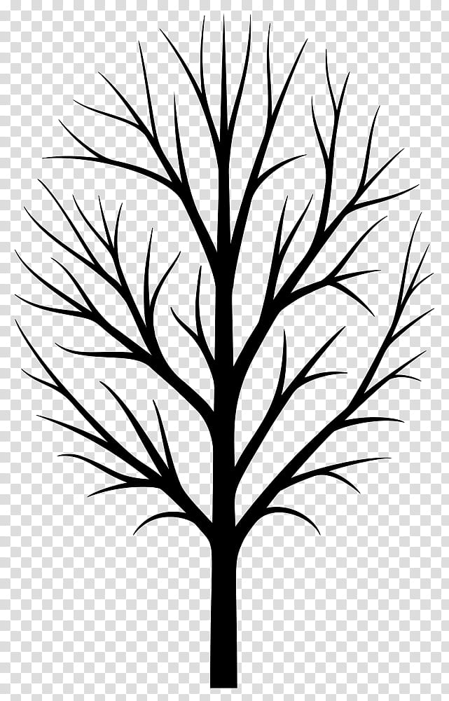 Family Tree Silhouette, Branch, Birch, Drawing, Oak, Trunk, Leaf, Plant transparent background PNG clipart