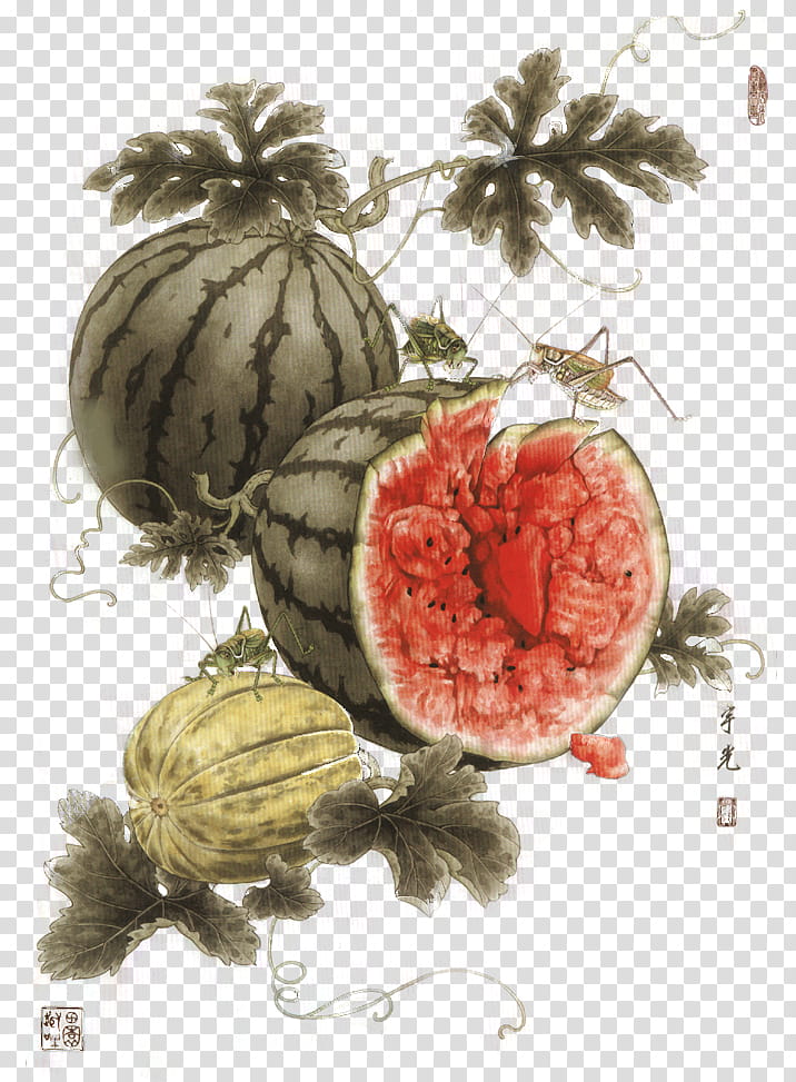 x JaeJade DA, watermelon fruit painting transparent background PNG clipart