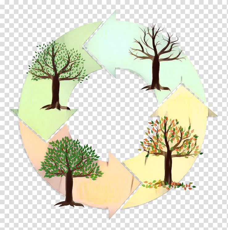 Family Tree Design, Floral Design, Leaf, Branching, Green, Nature, Woody Plant, Grass transparent background PNG clipart