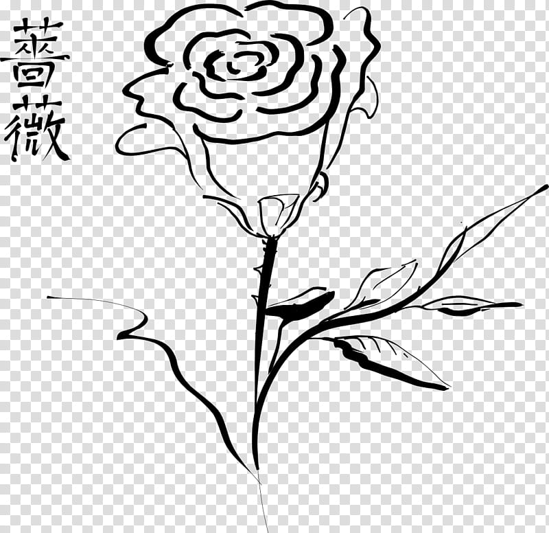 Compass Rose Drawing, Silhouette, Line Art, Blackandwhite, Flower, Plant, Leaf, Plant Stem transparent background PNG clipart