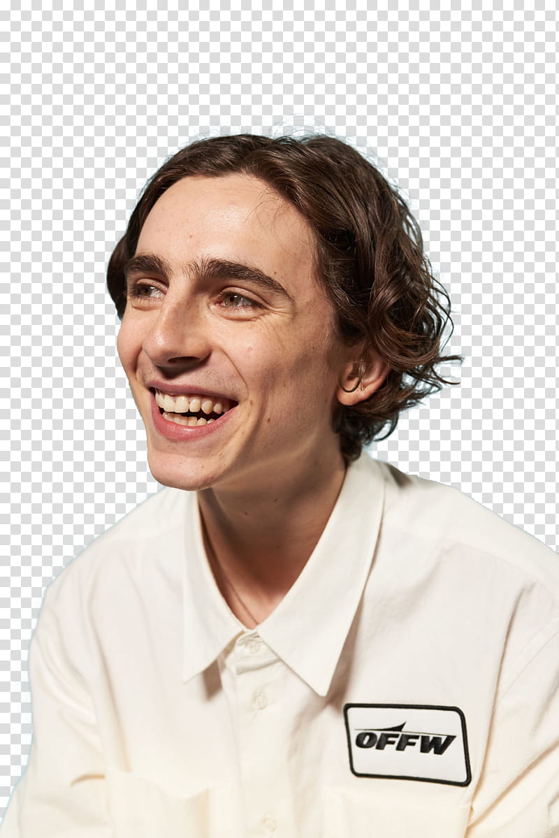 TIMOTHEE CHALAMET,  icon transparent background PNG clipart