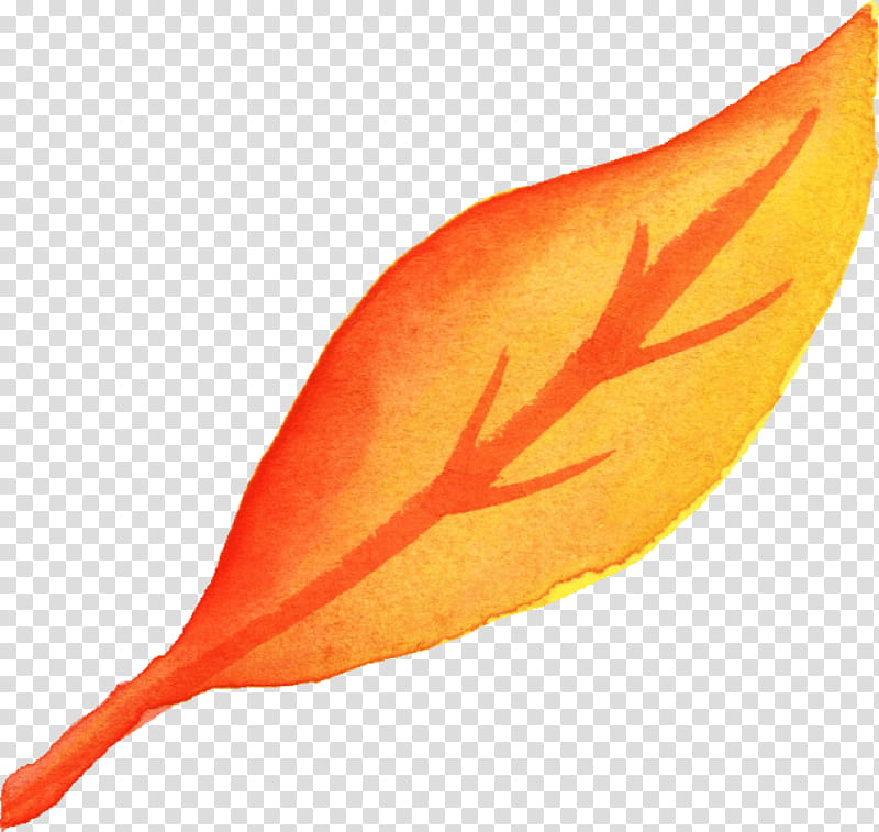 Autumn Leaf Drawing, Watercolor Painting, Leaf Painting, Autumn Leaf Color, Landscape Painting, Orange, Plant, Feather transparent background PNG clipart