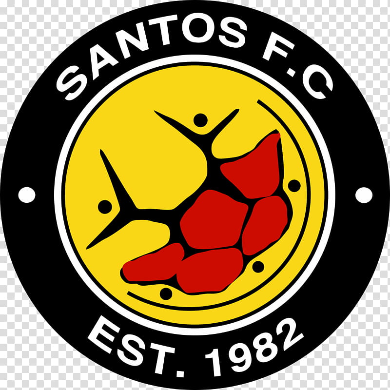 Premier League Logo, Santos Fc, Cape Town, Mamelodi Sundowns Fc, Premier Soccer League, Football, Baroka Fc, Sports Association transparent background PNG clipart