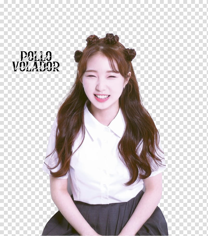 LOONA Album Scans transparent background PNG clipart