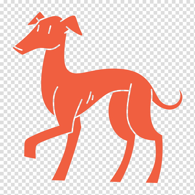 Dog, Italian Greyhound, Whippet, Spanish Greyhound, Sloughi, Dog Breed, Longdog, Sighthound transparent background PNG clipart