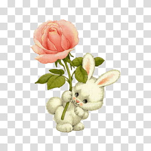 , white rabbit holding rose transparent background PNG clipart