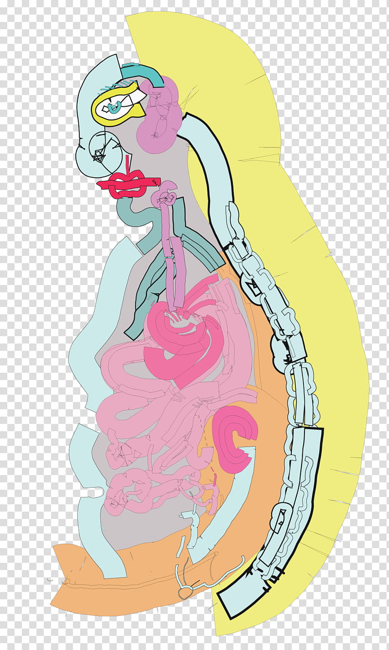 Mermaid, Human, Muscle, Human Nose, Behavior, Jaw, Cartoon, Line Art transparent background PNG clipart