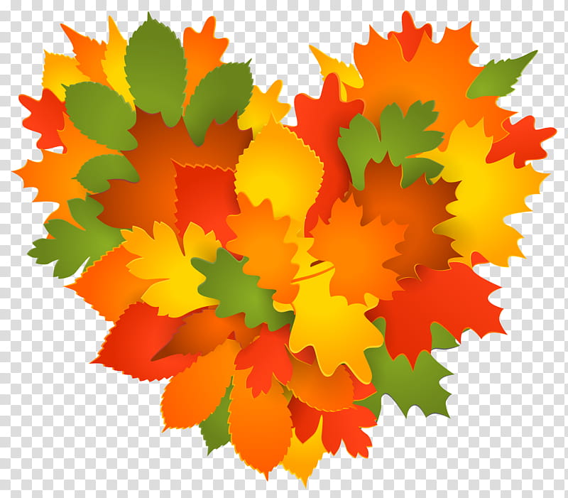 Autumn Maple, Heart, Leaf, Tree, Maple Leaf, Black Maple, Yellow, Plant transparent background PNG clipart