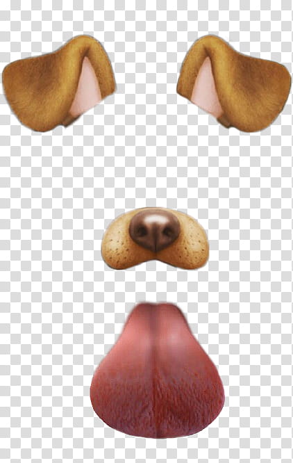 Snapchat psd, dog nose and ear transparent background PNG clipart