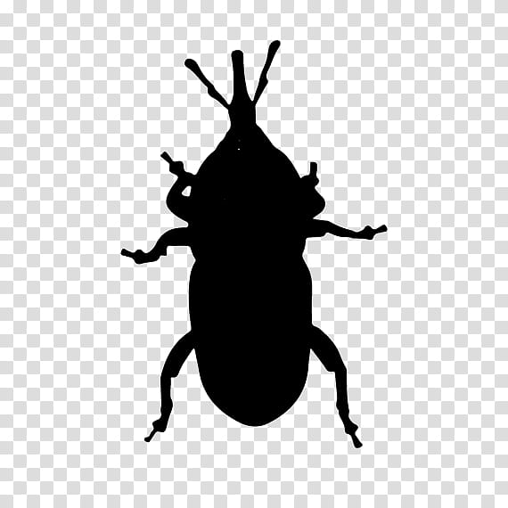 Weevil Insect Silhouette Pollinator Membrane, Scarab, Beetle, Pest, Scarabs, Blister Beetles, Ground Beetle, Parasite transparent background PNG clipart