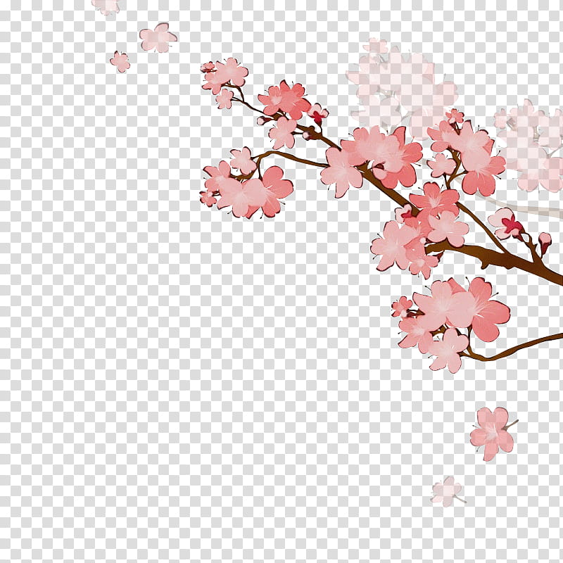 Watercolor Flower, Paint, Wet Ink, Mothers Day, Gift, Culture, Cherry Blossom, 2019 transparent background PNG clipart