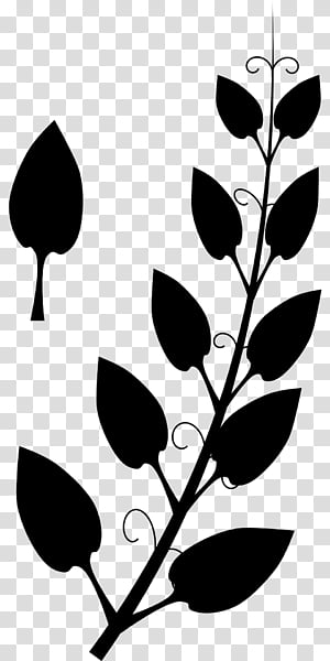 Tree Branch Silhouette, Plant Stem, Line, Black, Leaf, Plants, Flower, Blackandwhite transparent background PNG clipart thumbnail
