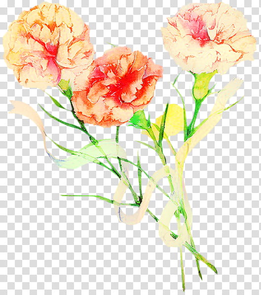 Background Family Day, Flower, Carnation, Mothers Day, Petal, Nosegay, Cut Flowers, Plant transparent background PNG clipart