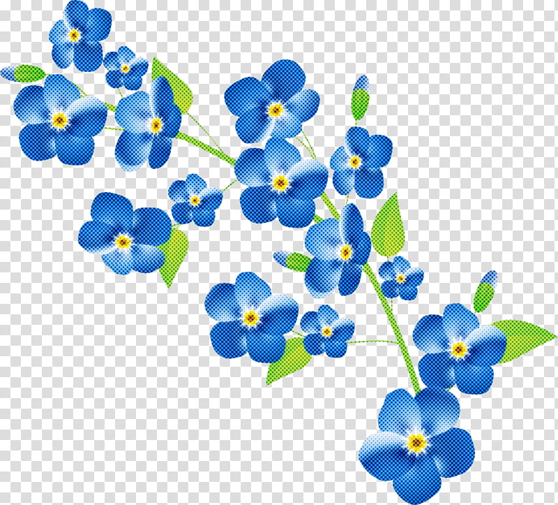 blue cobalt blue flower forget-me-not plant, Forgetmenot, Borage Family, Petal, Wildflower transparent background PNG clipart