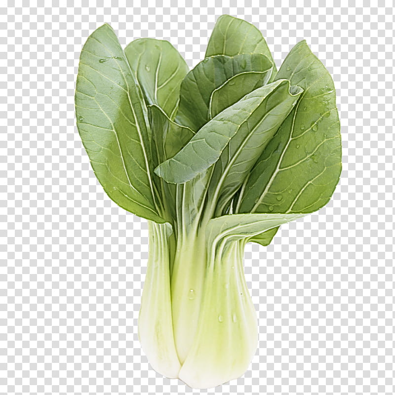 vegetable leaf vegetable choy sum leaf food, Komatsuna, Plant, Flower, Spinach, Wild Cabbage transparent background PNG clipart