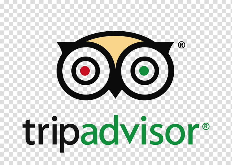 Owl Logo Tripadvisor Soweto Text Line Beak Area Transparent