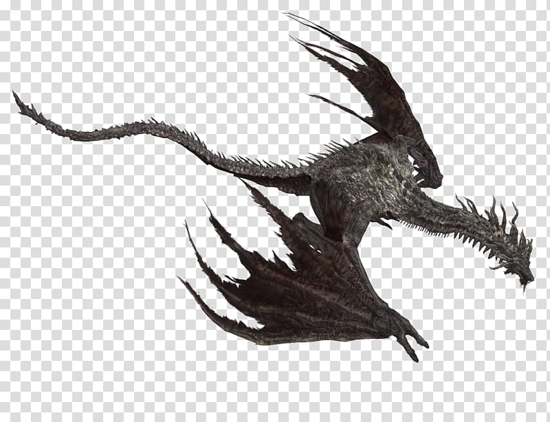 Ancient Wyvern, gray dragon illustration transparent background PNG clipart