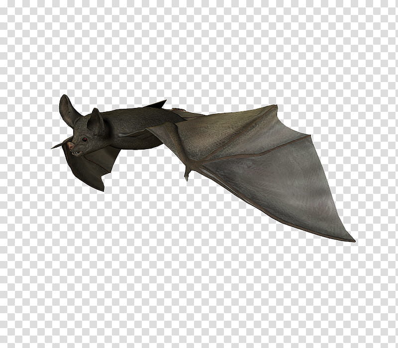 E S Bats , black bat transparent background PNG clipart