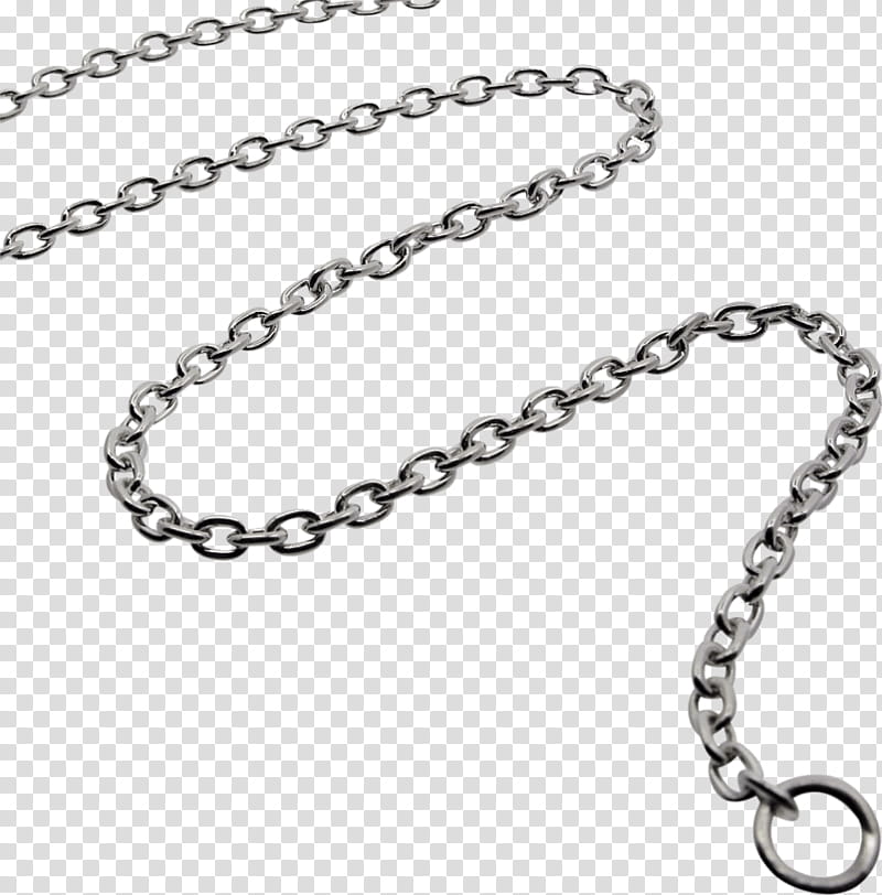 Chloe Chain Necklace- Silver | Luv Aj