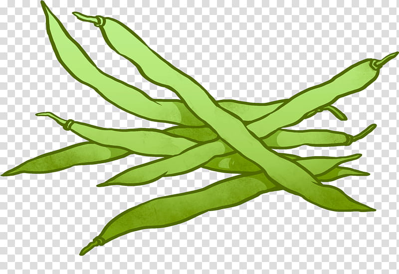 Green bean casserole Common Bean Rice and beans, Lima Bean, Pea, Legume, Leaf, Plant, Vegetable, Flower transparent background PNG clipart